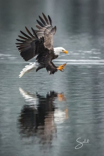 Good Morning- From Creighton's-                                      On October 31, 2023