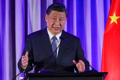 #ShannonBrandao,                     The #ChinaBoss: Musk-Xi Meeting Shows Tight Relationship China Has With Tesla