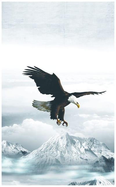 Good Morning! From Creighton's on Wednesday, November 29, 2023