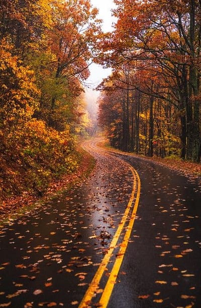 Deep... Autumn...