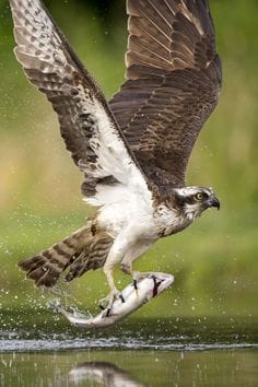 Good Morning, From Creighton's On Wednesday, November 22, 2023