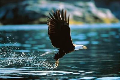 Good Morning, From Creighton's- On Friday, December 8th, 2023