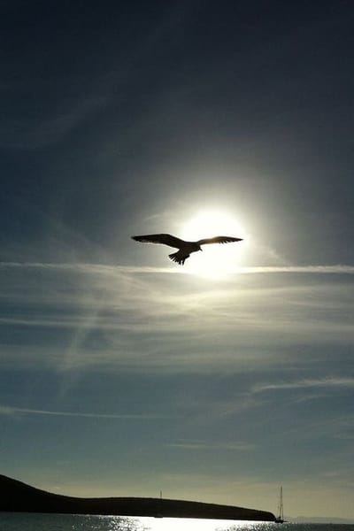 Good Morning, From Creighton's- On Thursday, December 7th, 2023