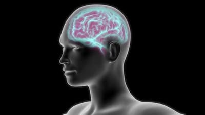 #AmieDahnke Via #TheEpochTimes Via #ZeroHedge: Smoking Shrinks The Brain, And Quitting Doesn’t Restore Size: Study