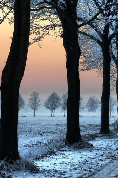 ...Great Morning...