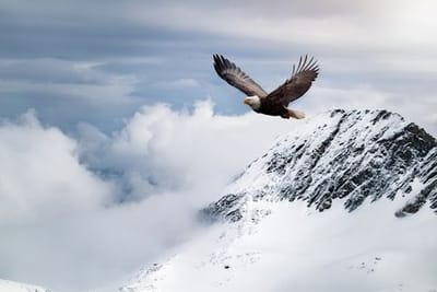 Good Morning, From Creighton's- On Thursday, January 4th, 2024