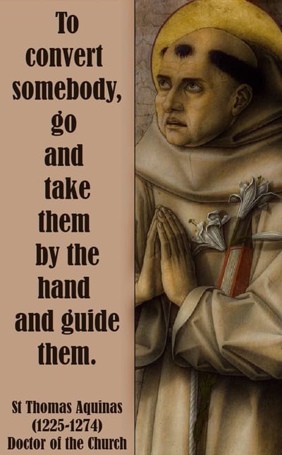St. Thomas Aquinas (1225-1274) , Doctor Of The Church