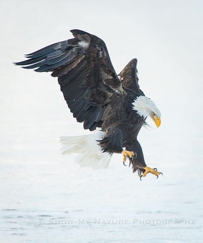 Good Morning, From Creighton's- On Friday,    January 5th, 2024