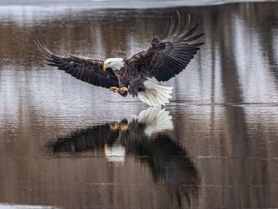 Good Morning, From Creighton's- On Wednesday, January 3rd, 2024