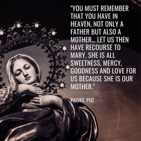 Honoring Christ, Through Honoring His Blessed Mother
