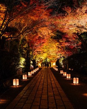 Calm, Directive, Focus...