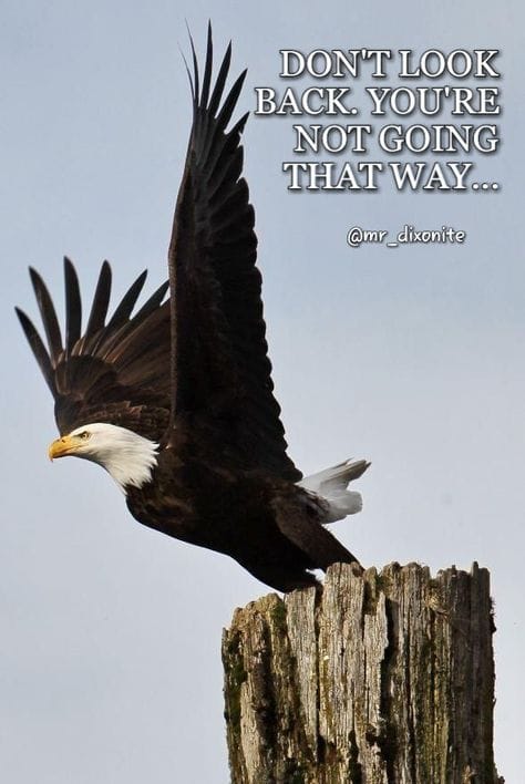 Good Morning, From Creighton's- On Tuesday, December 19th, 2023