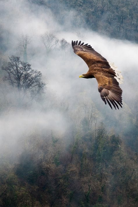 Good Morning, From Creighton's- On Friday, December 15th, 2023