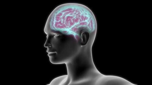 #AmieDahnke Via #TheEpochTimes Via #ZeroHedge: Smoking Shrinks The Brain, And Quitting Doesn’t Restore Size: Study