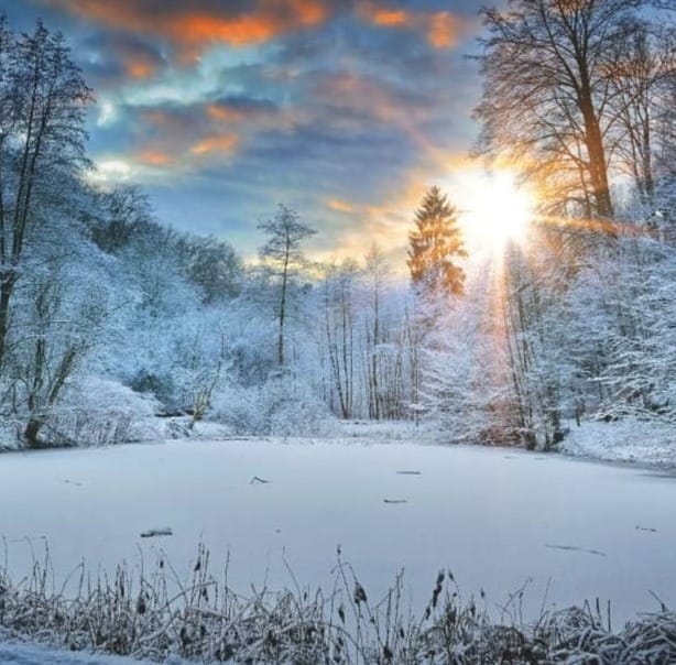 ...Good Rest Of Your Day!