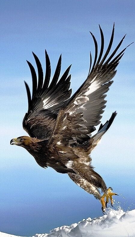 Good Morning From Creighton's- On Wednesday, January 10th, 2024