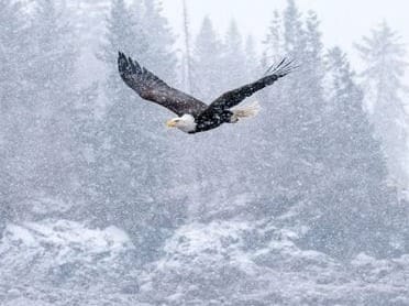 Good Morning From Creighton's- On Tuesday, January 9th, 2024