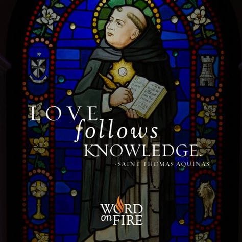 St. Thomas Aquinas (1225-1274) , Doctor Of The Church