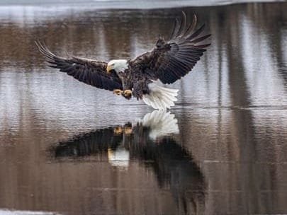 Good Morning, From Creighton's- On Wednesday, January 3rd, 2024